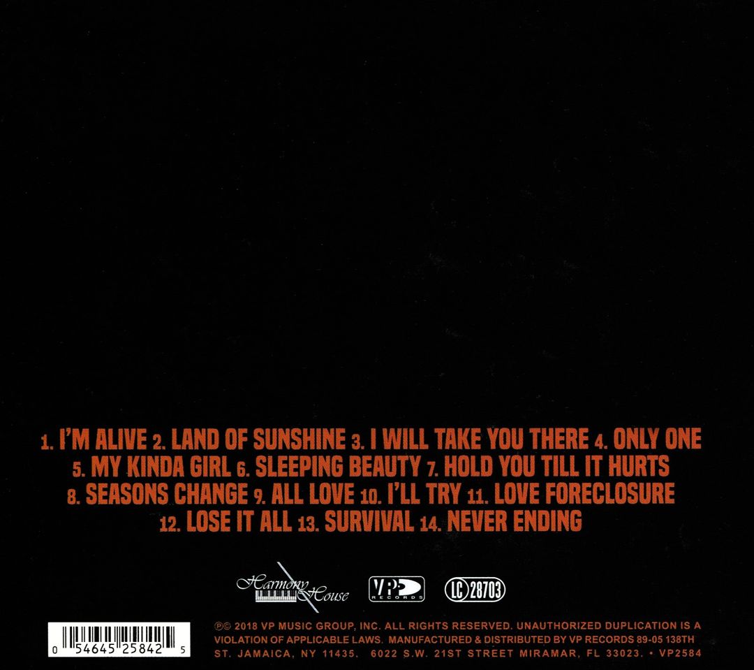 Never Ending cover art