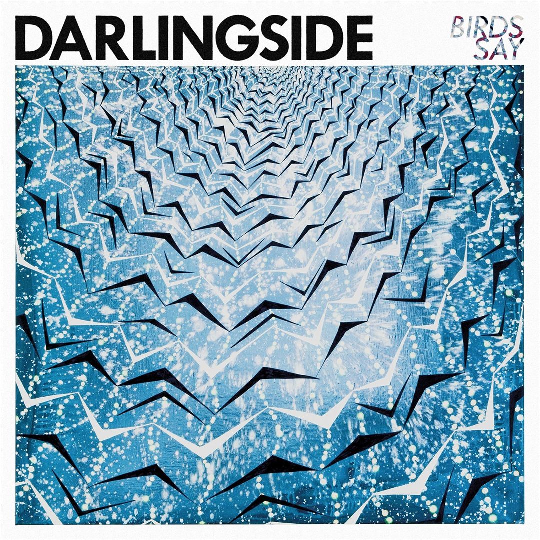 Birds Say cover art