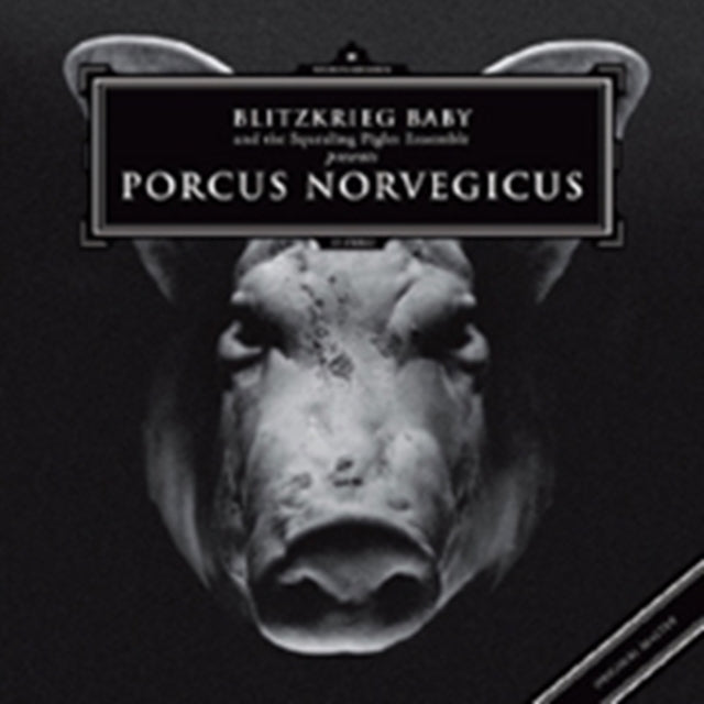 PORCUS NORVEGICUS-BLITZKRIEG BABY cover art