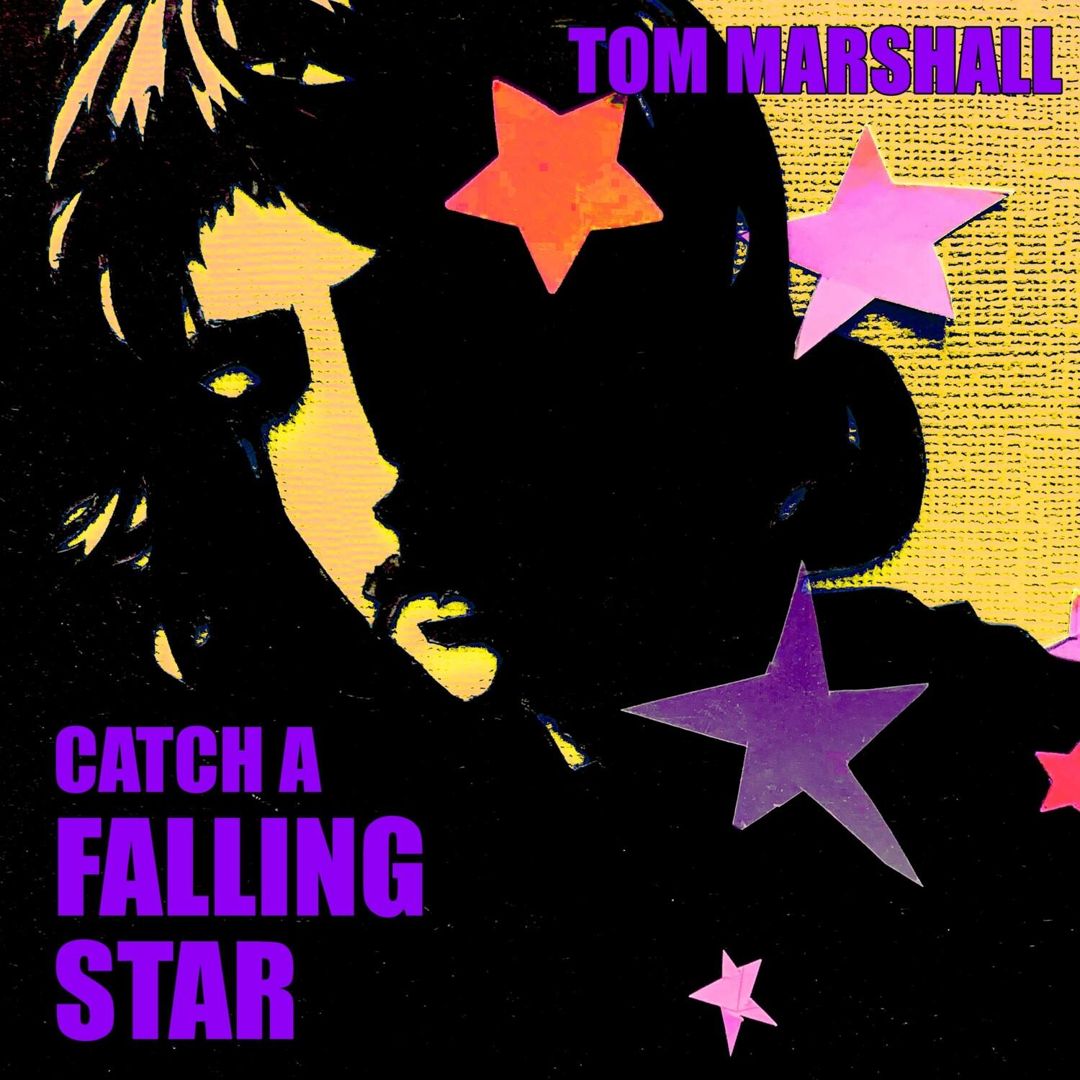 Catch a Falling Star cover art