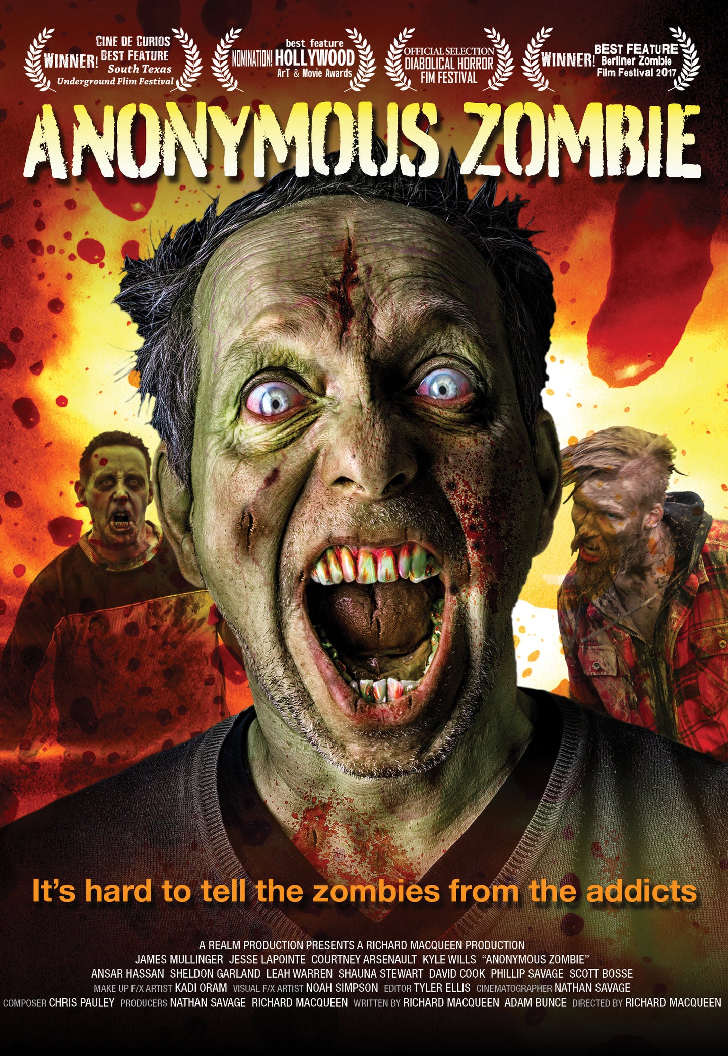 Anonymous Zombie cover art