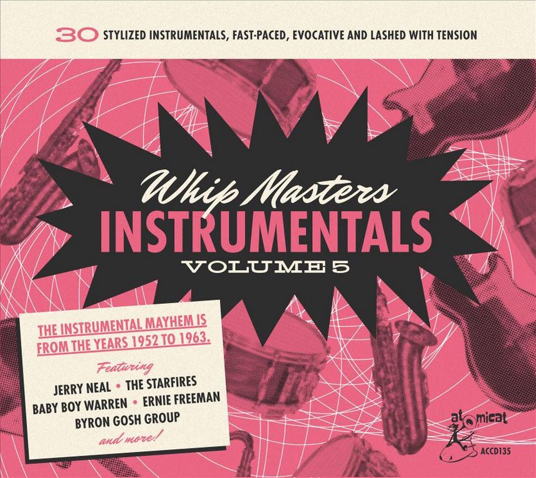 Whip Masters Instrumental, Vol. 5  cover art
