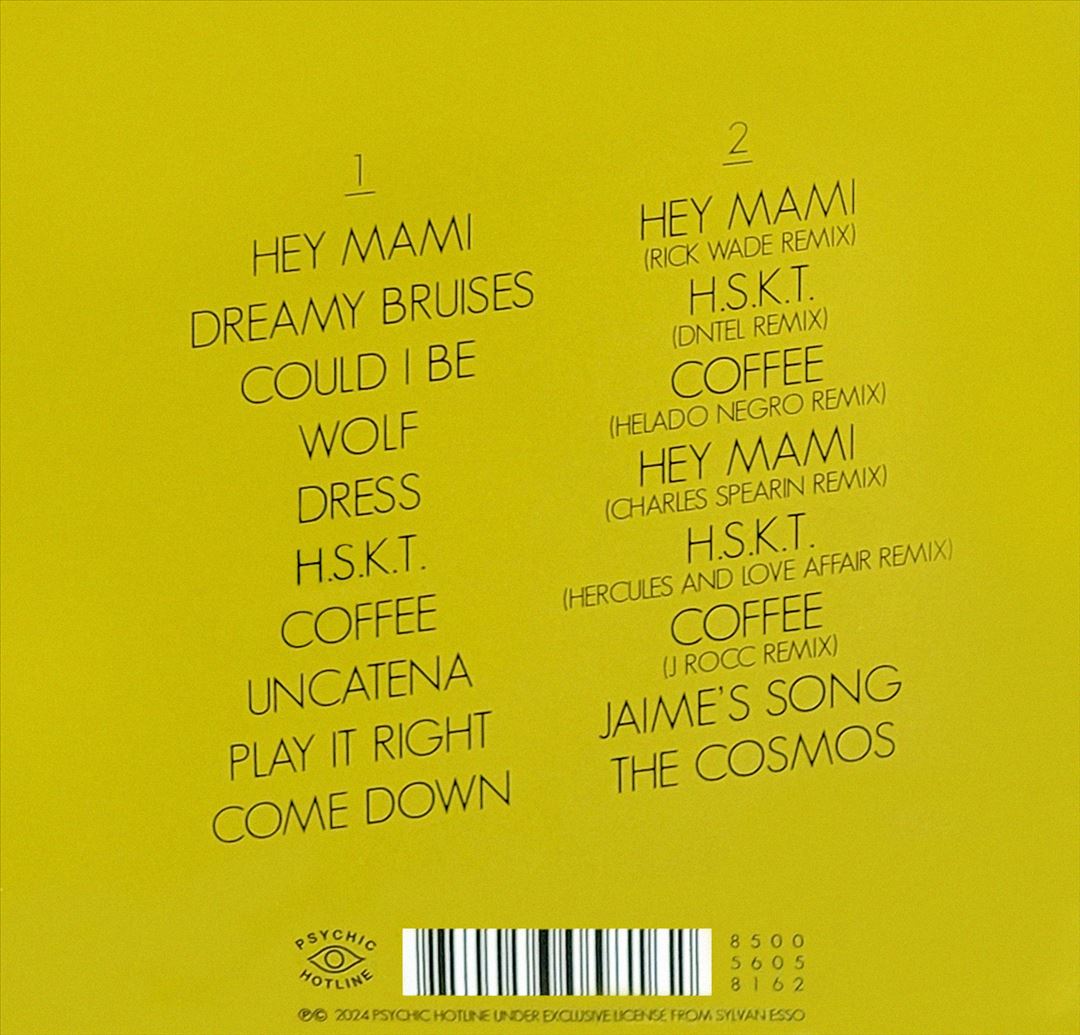 Sylvan Esso cover art