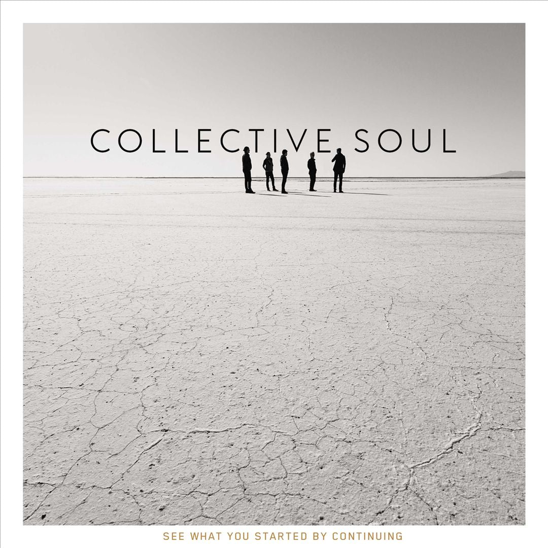 See What You Started by Continuing cover art