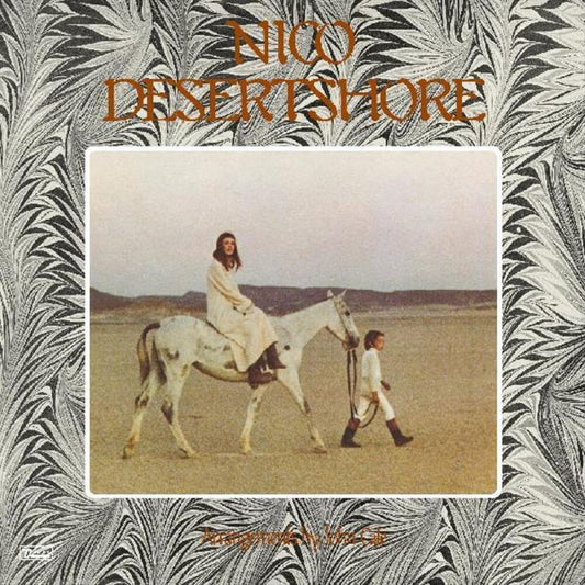 Desertshore cover art