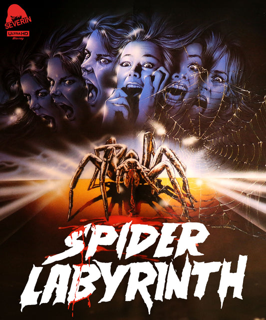 Spider Labyrinth [4K Ultra HD Blu-ray] cover art