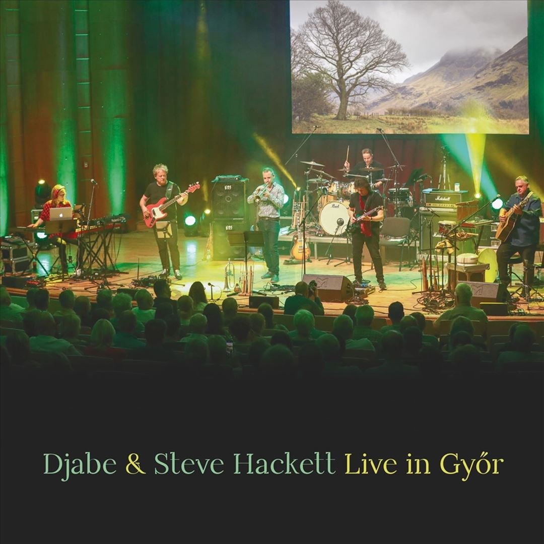 Live in Gyor cover art