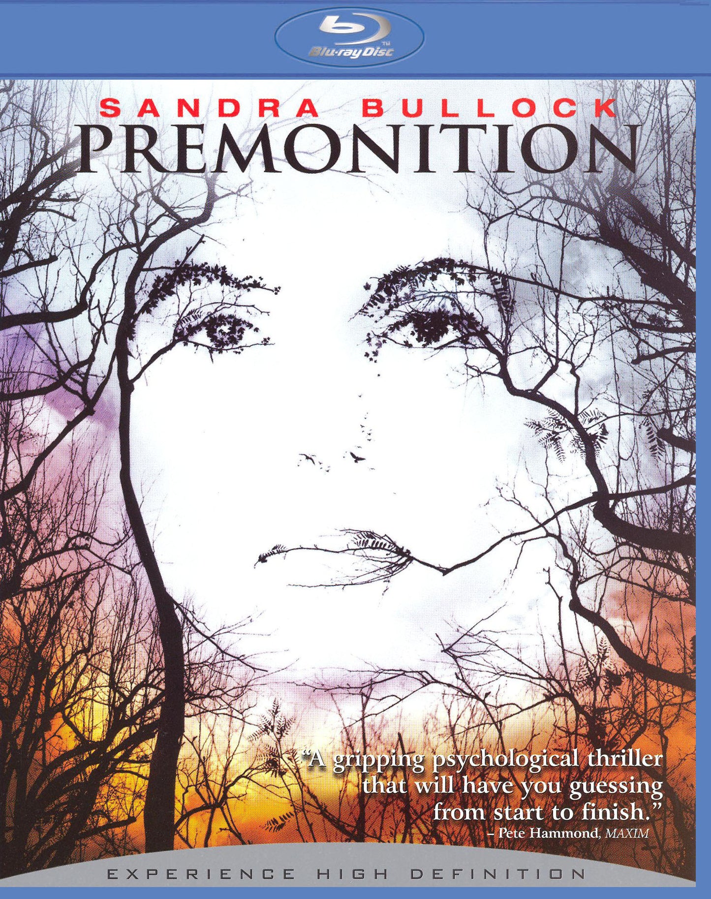 Premonition [Blu-ray] cover art