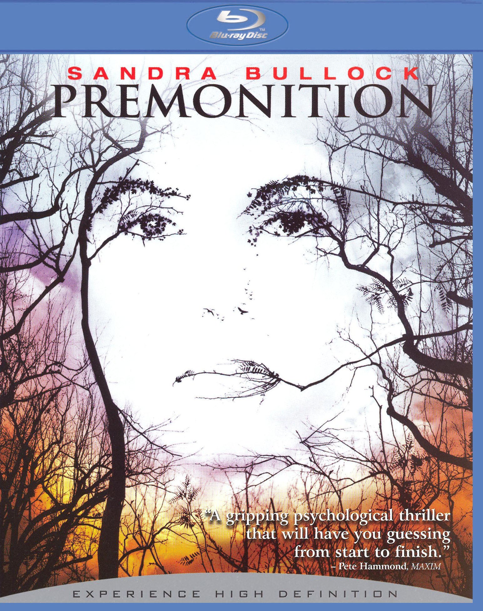 Premonition [Blu-ray] cover art