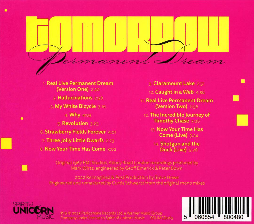 Permanent Dream cover art