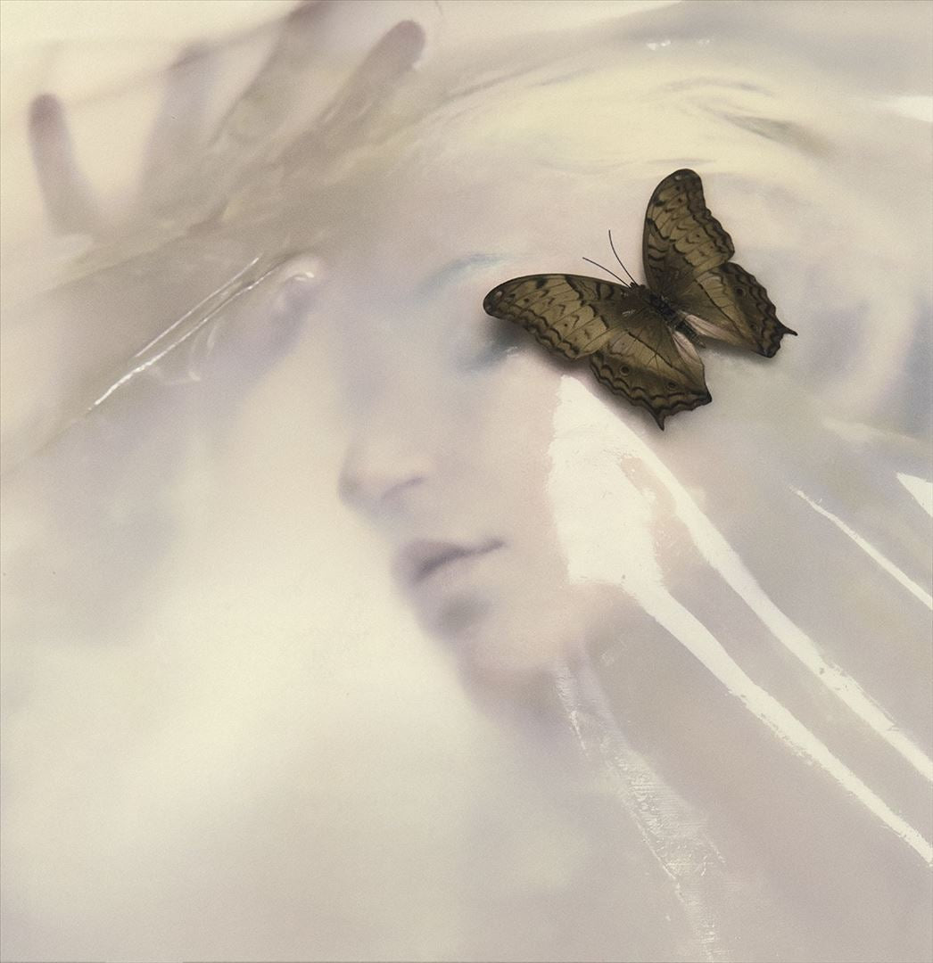 Speak Like the Dead cover art
