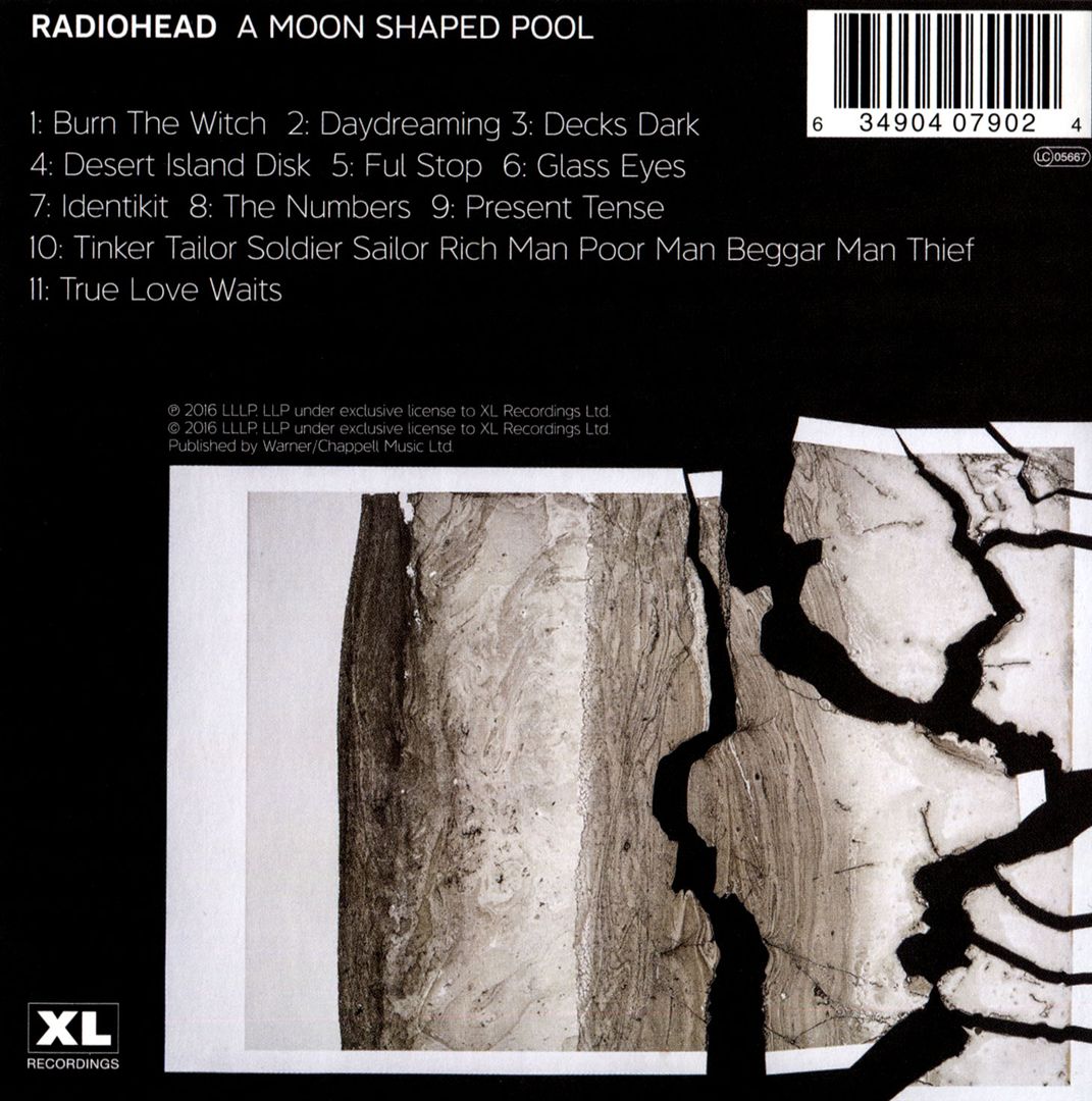 Moon Shaped Pool cover art
