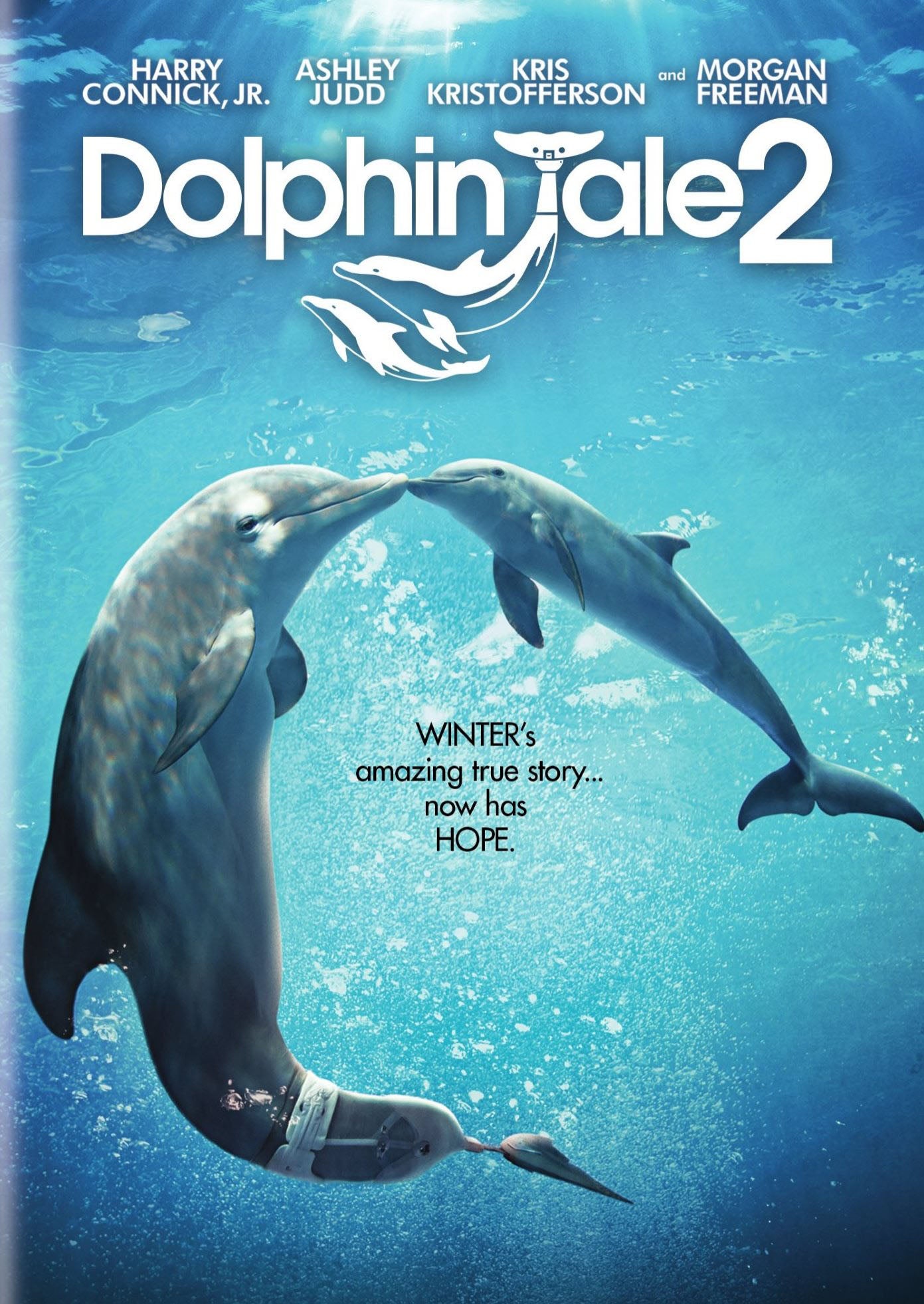 Dolphin Tale 2 [Includes Digital Copy] cover art
