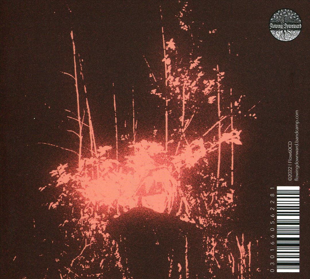 Endlhetoneg cover art