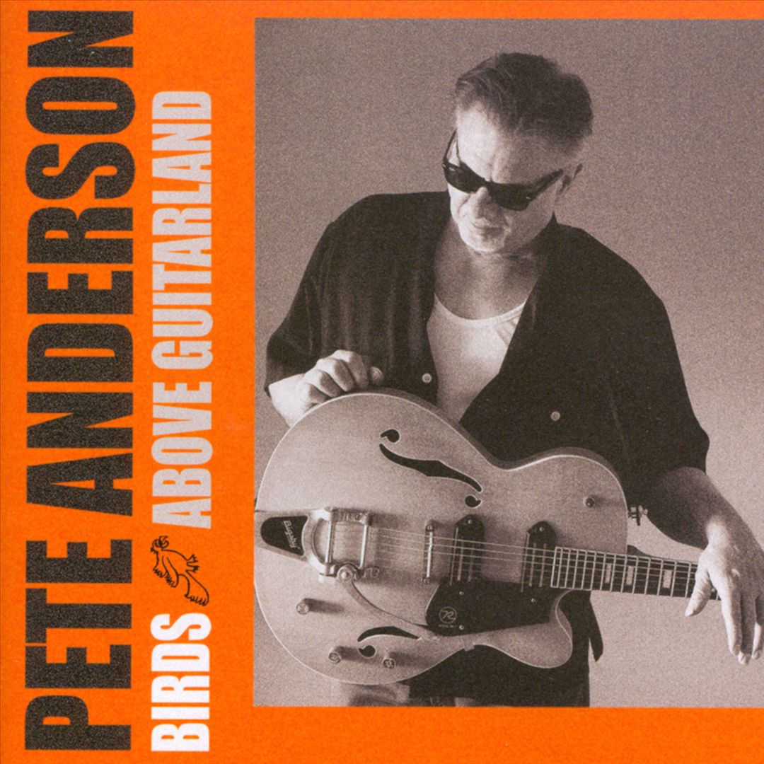 Birds Above Guitarland cover art