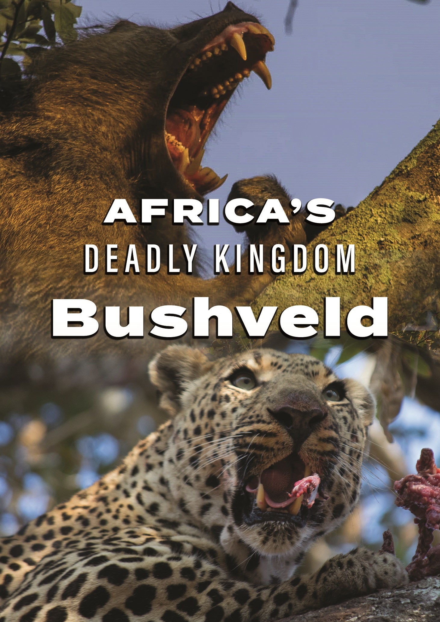 Africa's Deadly Kingdom: Bushveld cover art