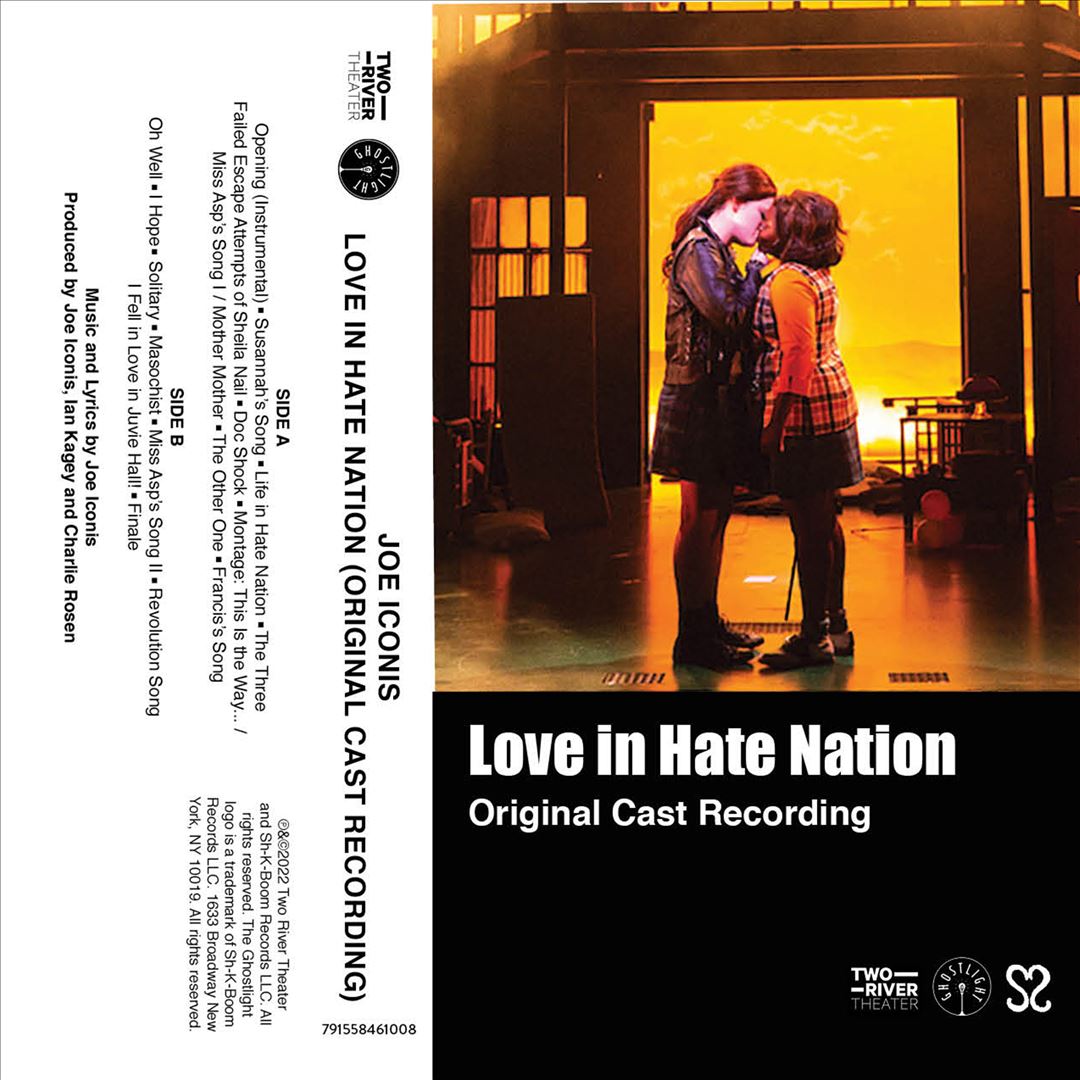 Love in Hate Nation  cover art