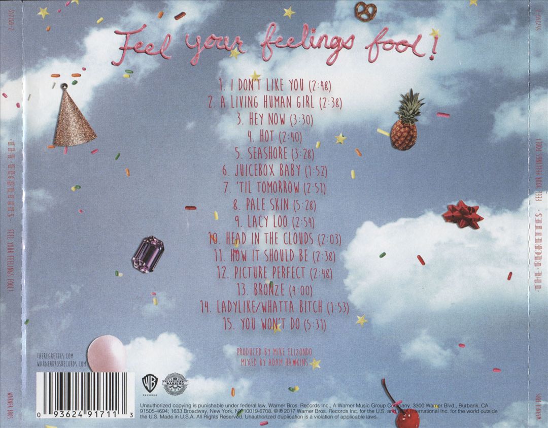 Feel Your Feelings Fool! cover art