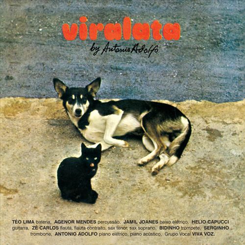 Viralata cover art