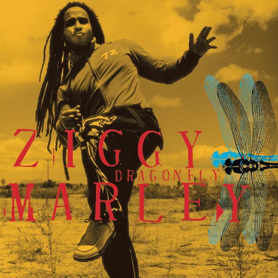 Dragonfly cover art