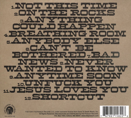 Anything Could Happen cover art