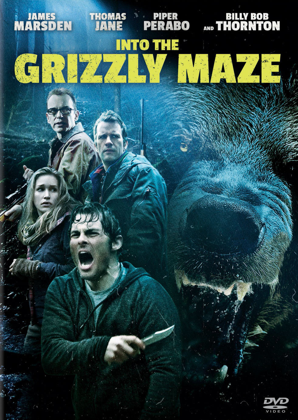 Into the Grizzly Maze cover art