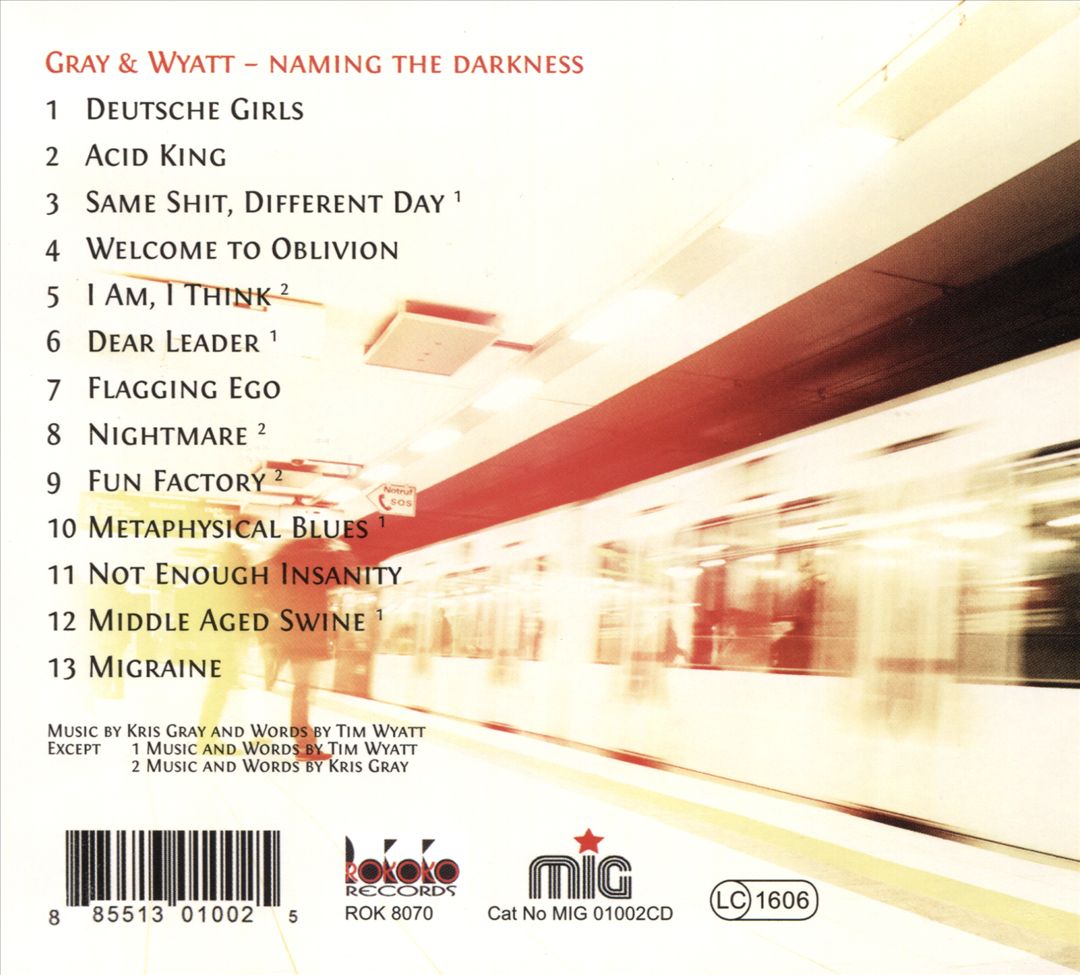 Naming the Darkness cover art
