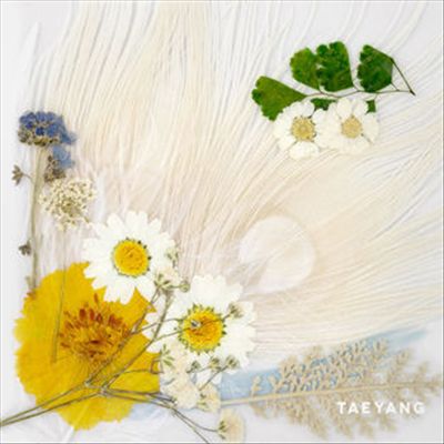 White Night cover art