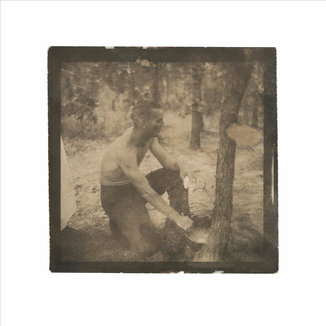 Songs from the Haunted South cover art