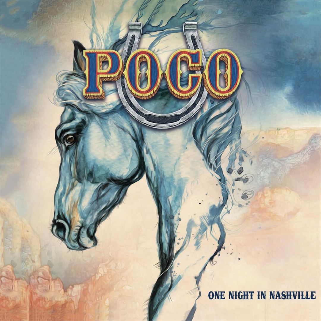 One Night in Nashville cover art