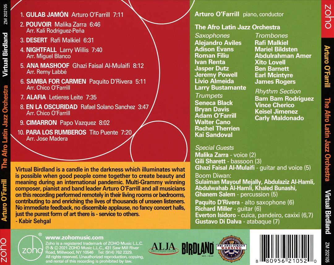 Virtual Birdland cover art