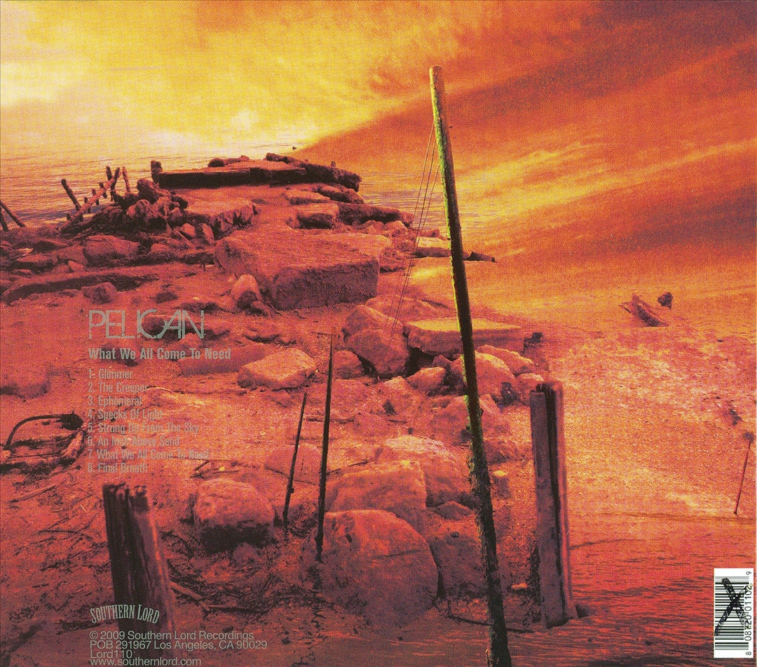 What We All Come to Need cover art