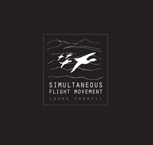 Simultaneous Flight Movement cover art