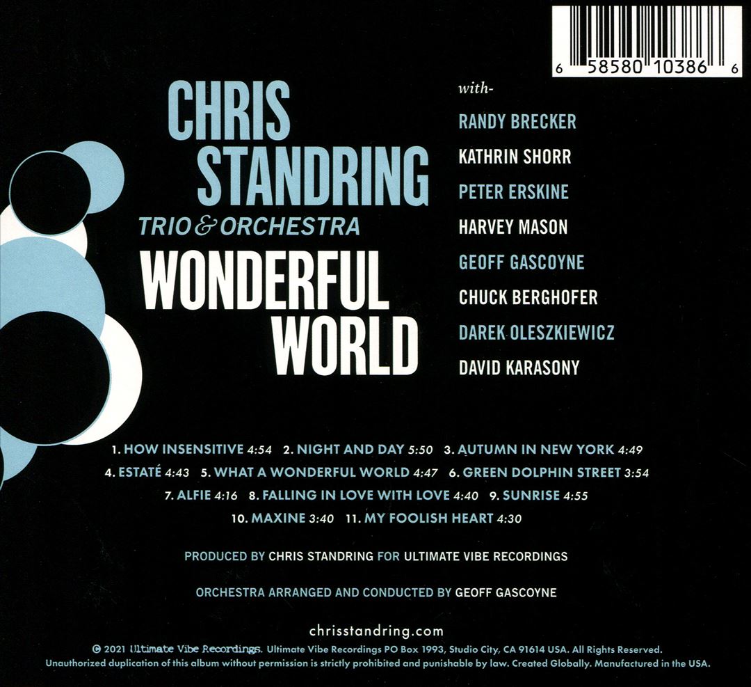Wonderful World cover art