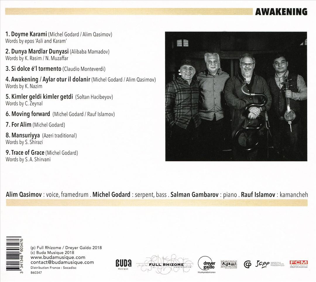 Awakening cover art