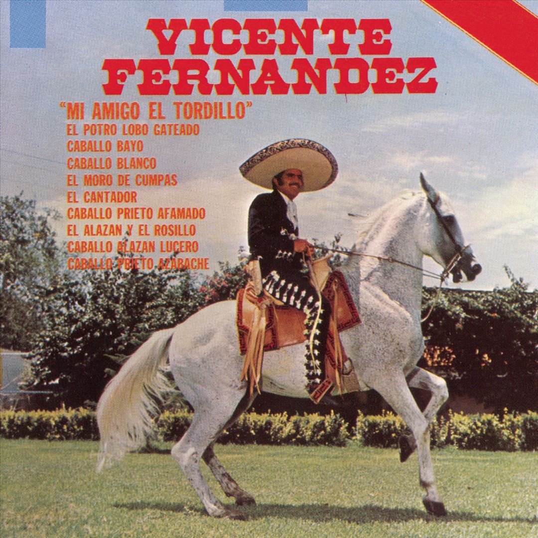 Mi Amigo el Tordillo cover art