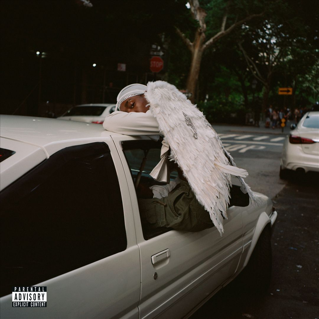 Negro Swan cover art