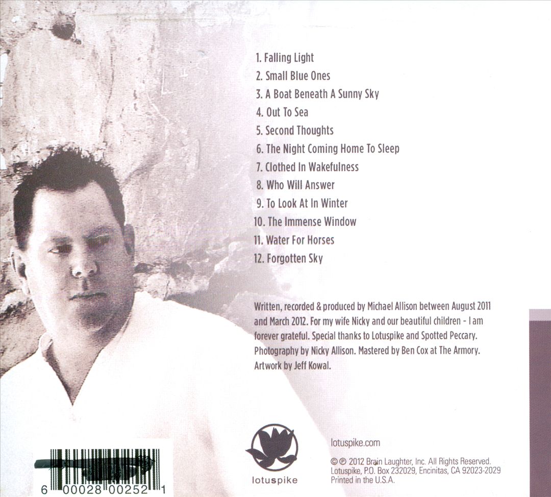 Falling Light cover art