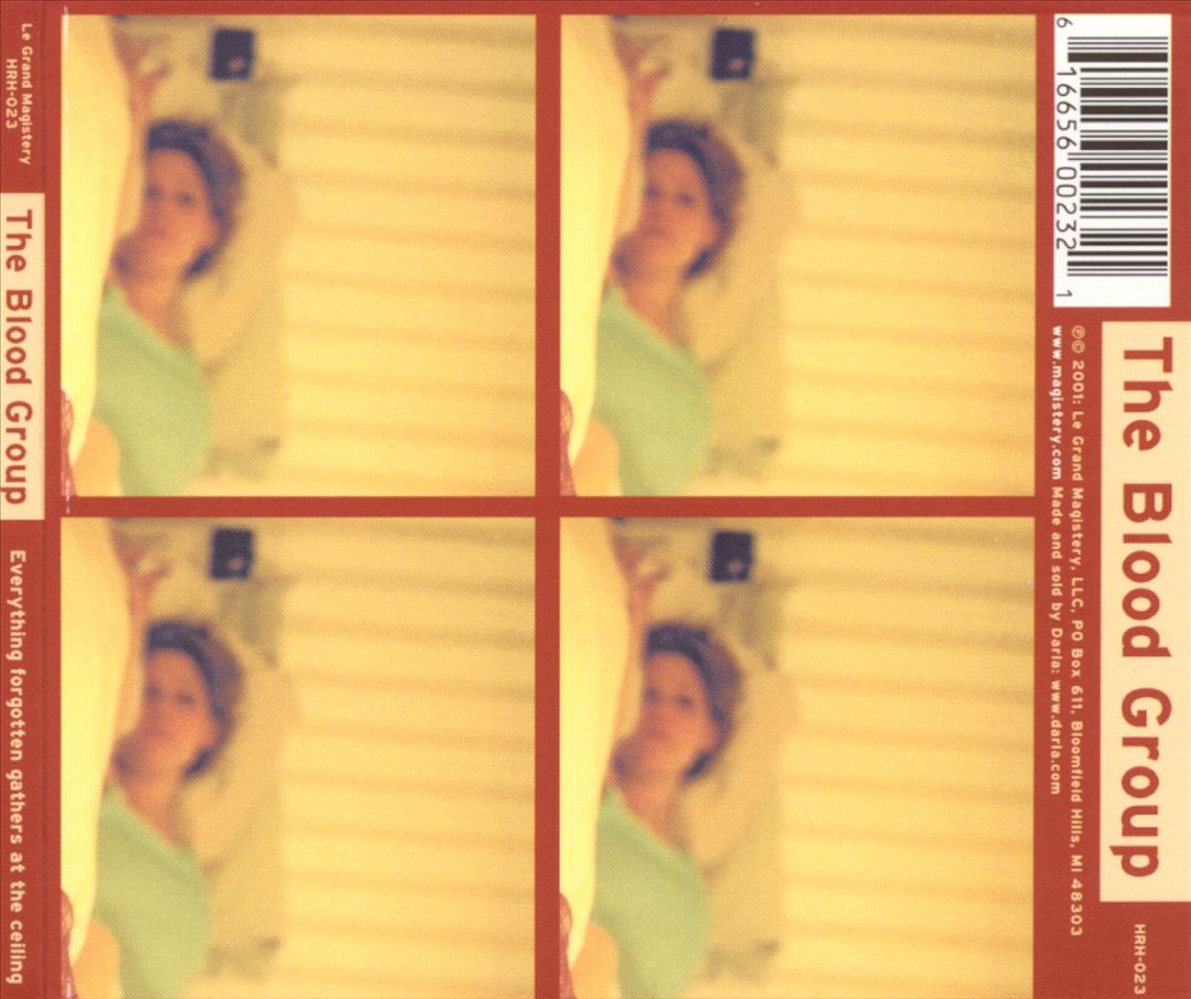 Everything Forgotten Gathers at the Ceiling cover art