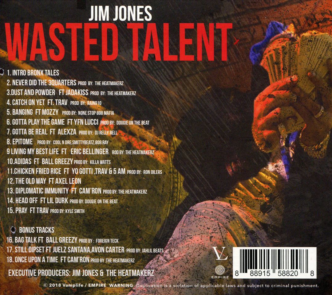 Wasted Talent cover art