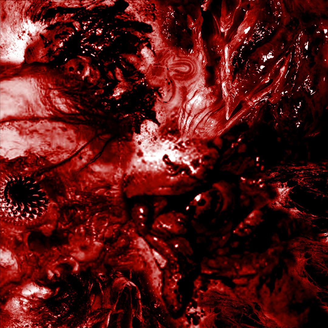 Inescapable Anatomical Deterioration cover art