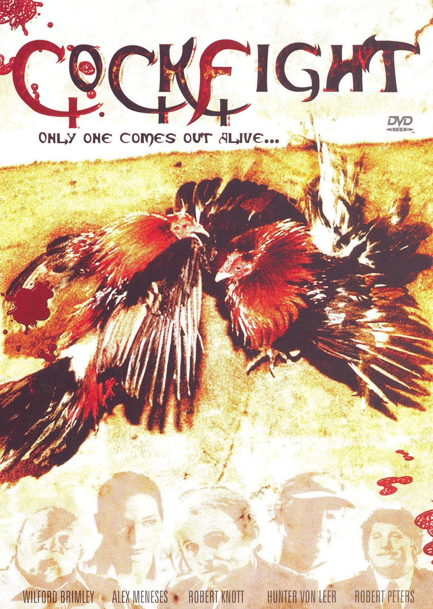 Cockfight cover art