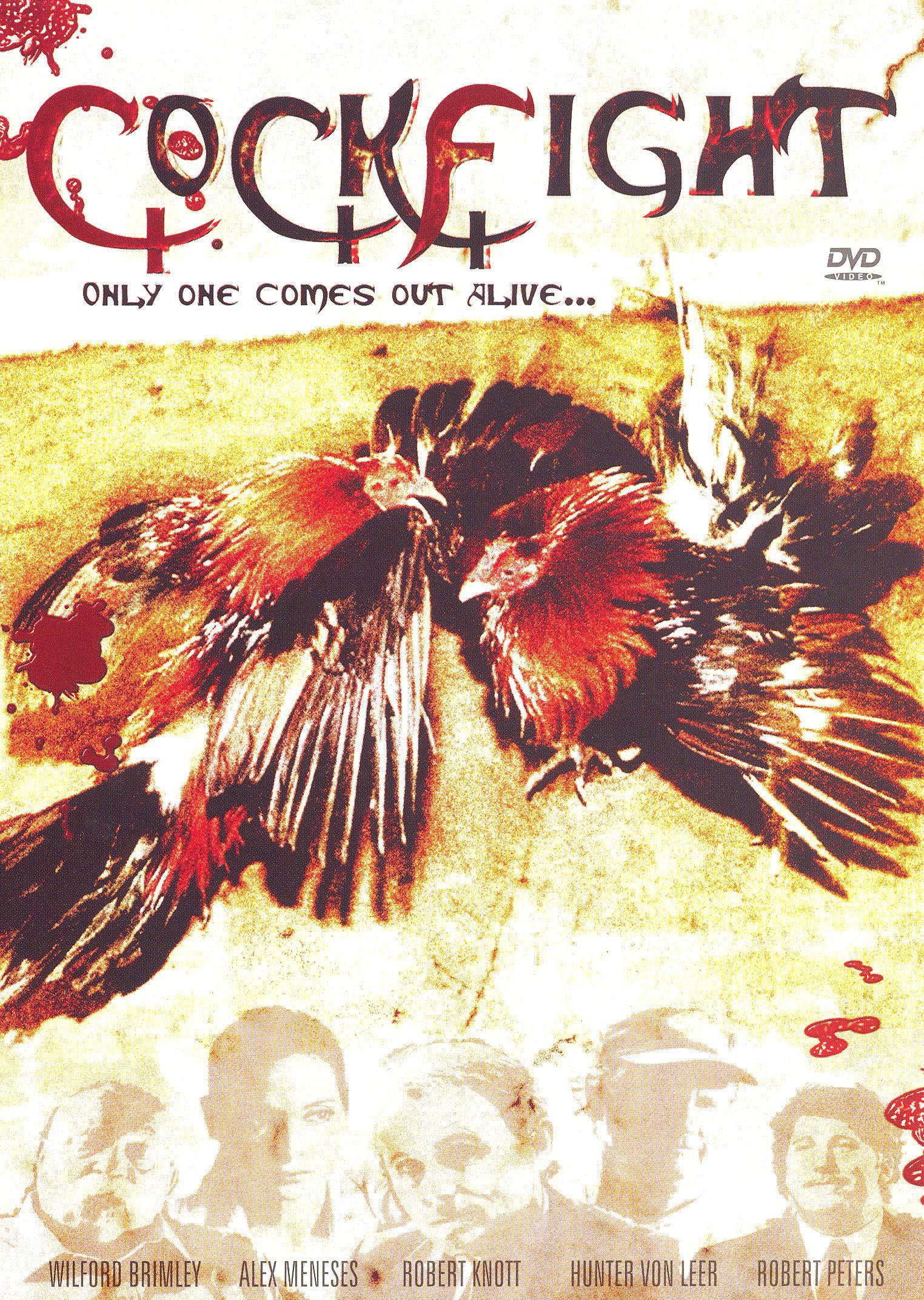Cockfight cover art