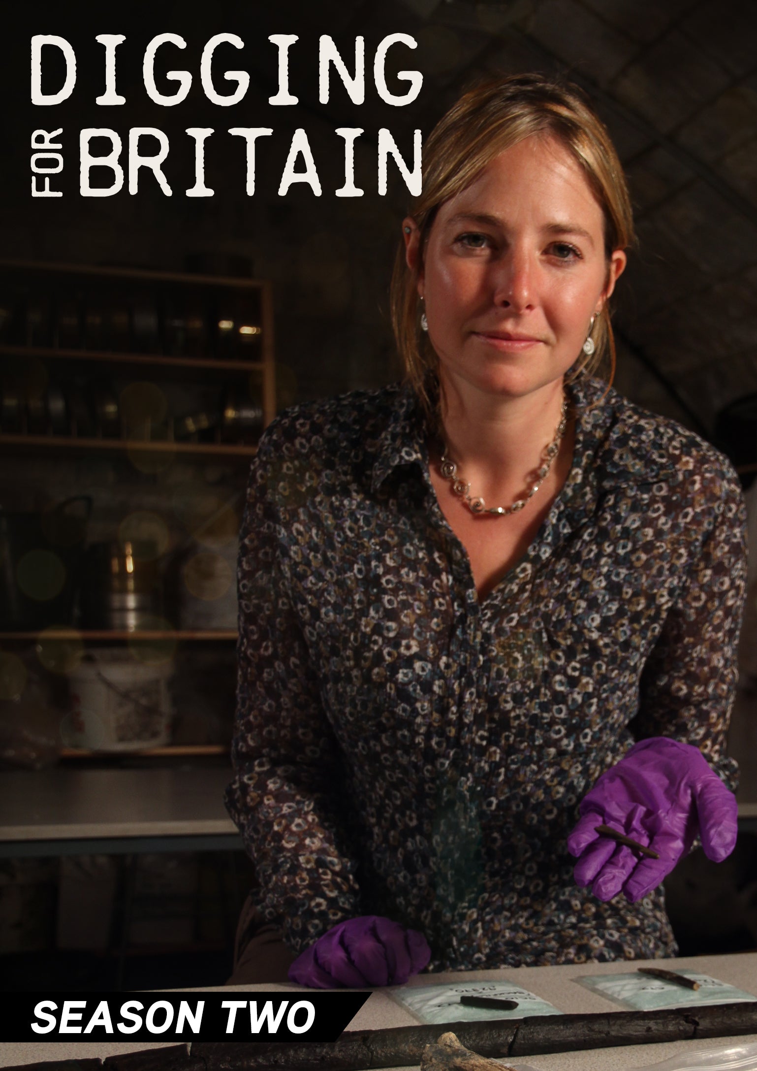 Digging for Britain: Season 2 cover art