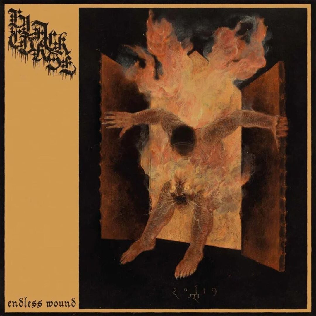 Endless Wound cover art