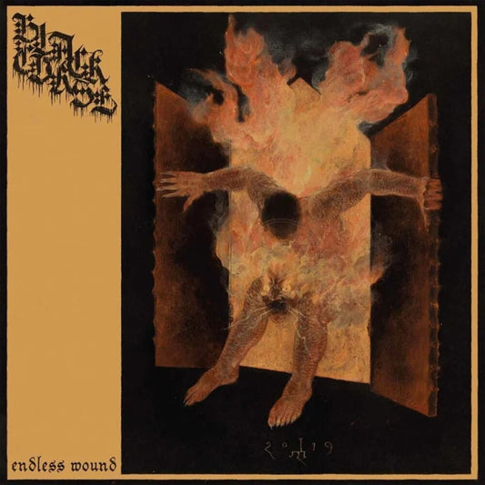 Endless Wound cover art