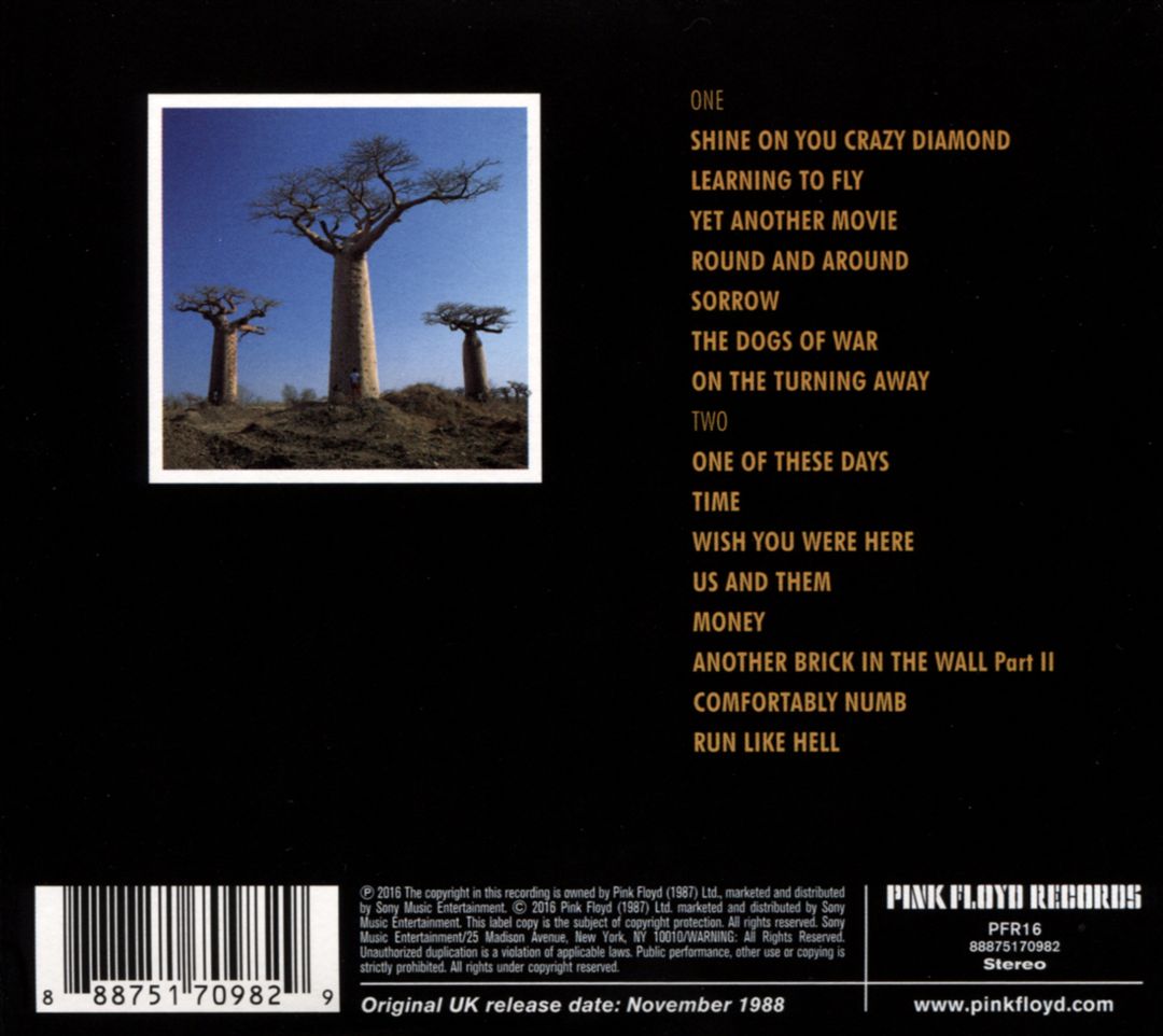 Delicate Sound of Thunder cover art