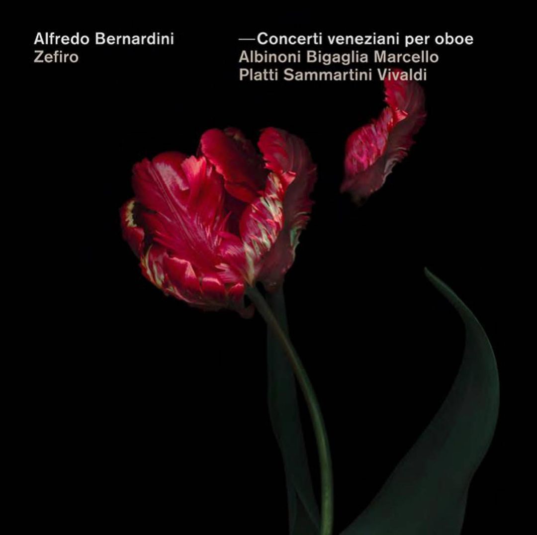 Venetian Oboe Concertos cover art