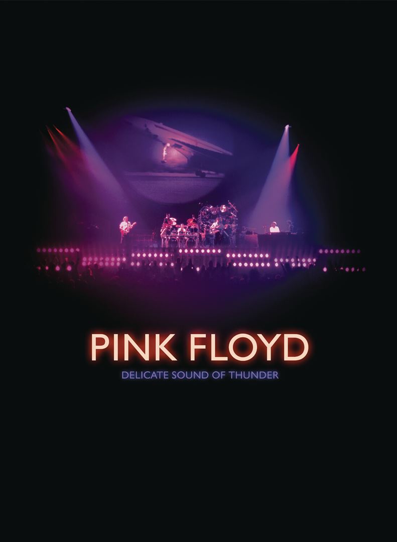 Delicate Sound of Thunder [Video] cover art