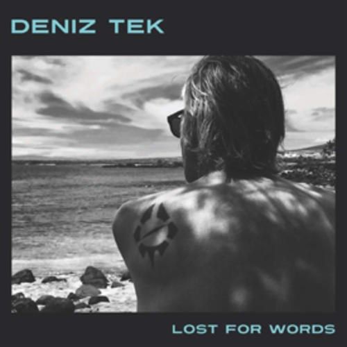 Lost for Words cover art